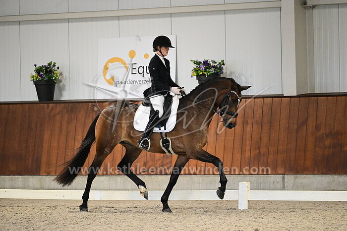 Jesslin Vinkesteijn - So In Love