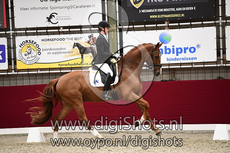 Jasmijn den Herder - Tsar Wolfshoeve