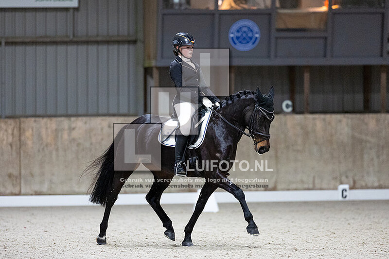 Regio dressuur ponys