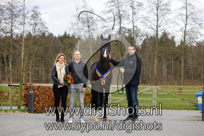 Omar Sharif v. Escamillo