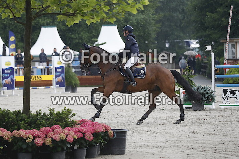 Mareille Van Geel - Schroder