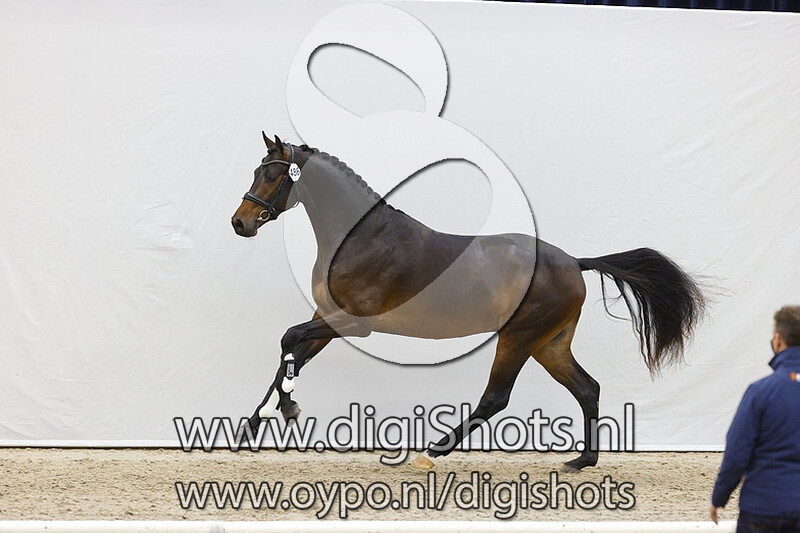 Nando JK v. Incognito