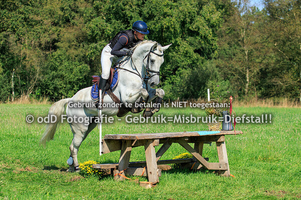 SGW Bollert Gelselaar Paard B Pony L 07-09-24