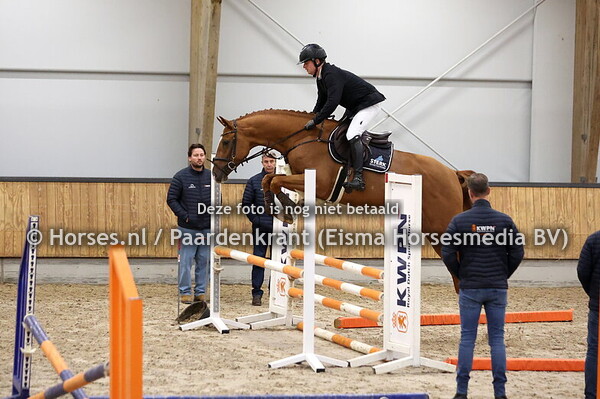 9 Smileyway WB (Highway M TN x Warrant)