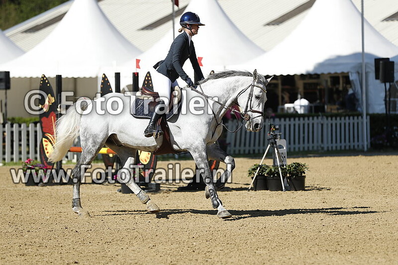 fanny brovig marksten