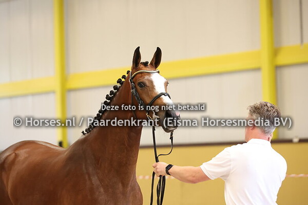 3 Sisi Viola (New Pleasure x Dauphine v. Lux)