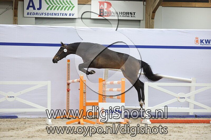 Tout van de Toren JO