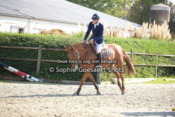 Serie B - 105 - Hippo Revue