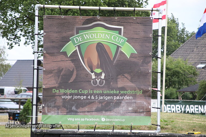 Hippisch Holtrijk Grolloo 05-07-2019 Wolden Cup 4 jarigen