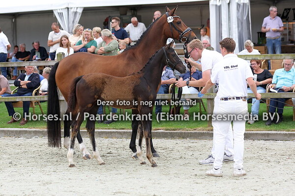 144 Valaya Secret (Secret USB x Idena v. Cachet LM)