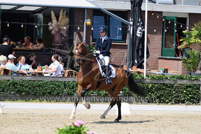 Jade Verschoor - Nobell