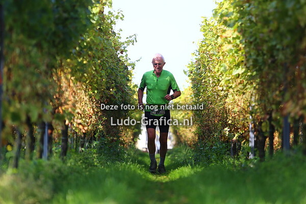 Marathon : 42km trail