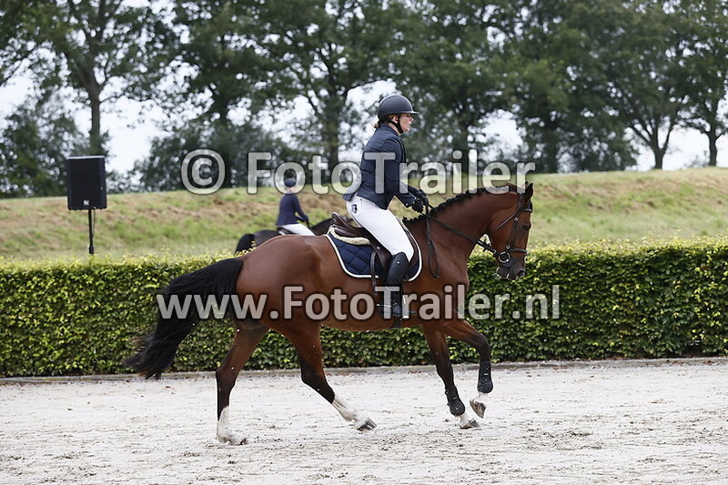 jacqueline bloemberg