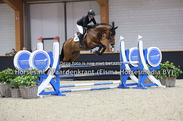 16 VDL Everett (v. Emerald van't Ruytershof) Luke Hill