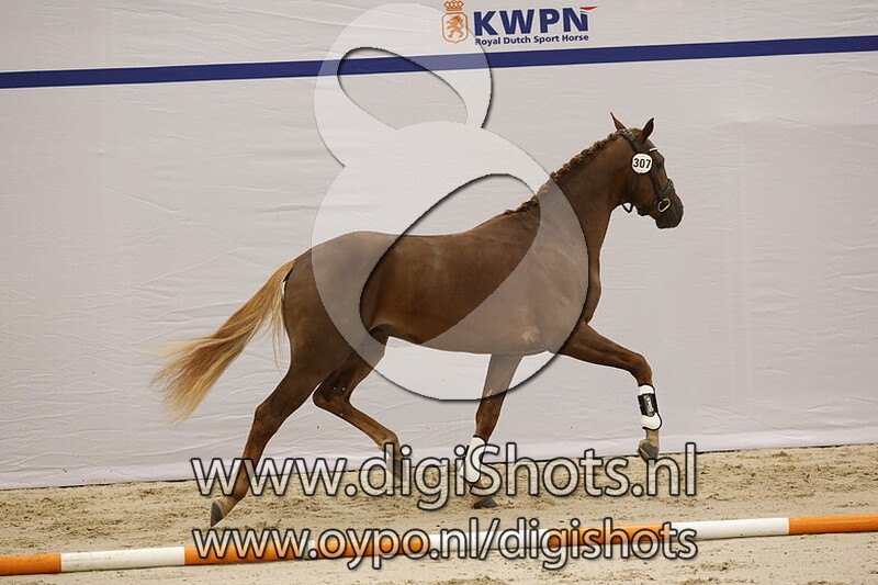 Simply Red LH v. Bonjour