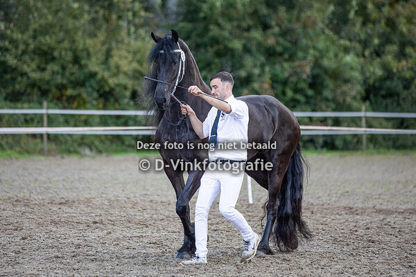 Nakeuring Friese stamboek Boxtel 01-10-2022