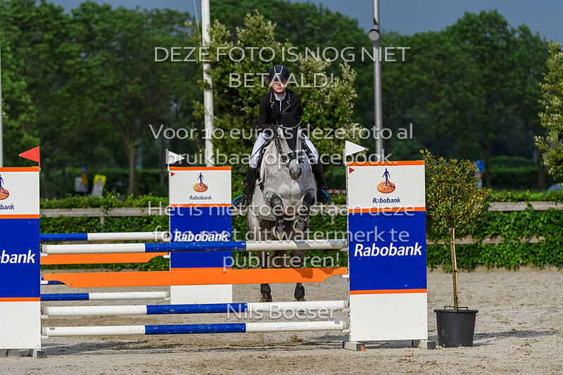 6 Klasse 110cm Paarden