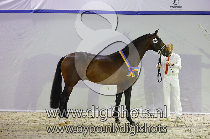 Nobel Prins v. Indian Rock