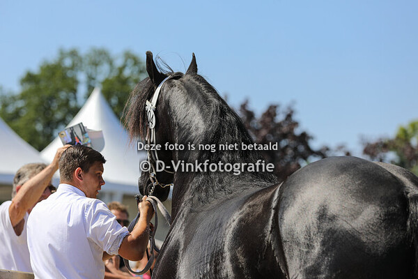 104. Jazz van de Hondshoeve