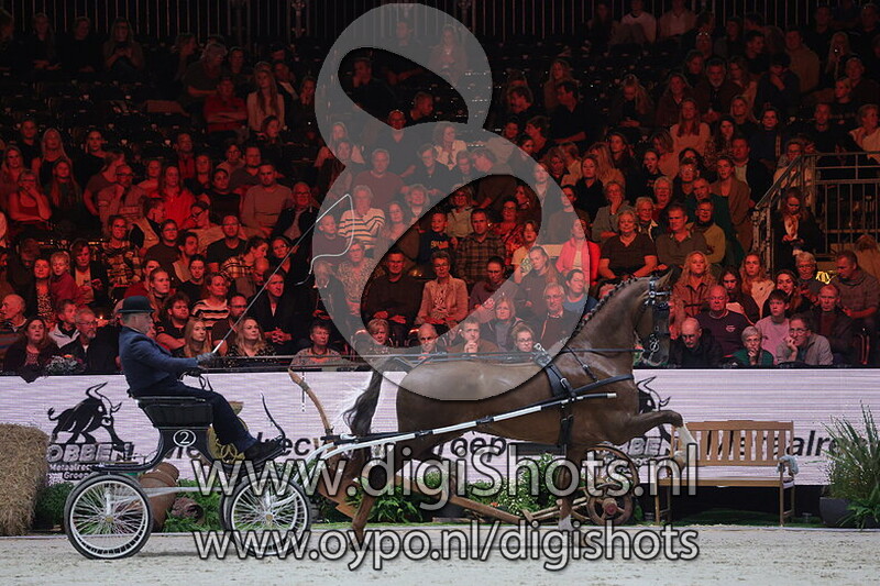 06 Tuigpaarden Kampioenschap van het Noorden - Open klasse
