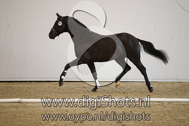 Macgyver v. Indian Rock