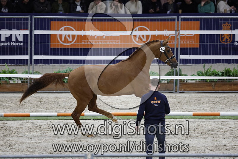 Red Spirit v. Blue Hors Monte Carlo Tc - 305