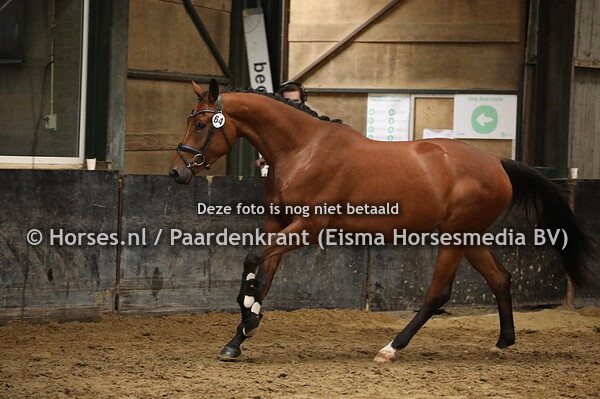 64 Modena Begijnhoeve