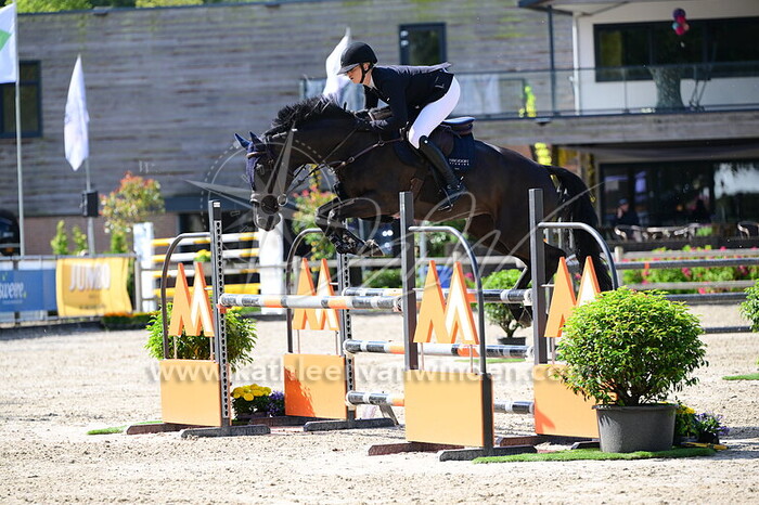 Iris Hakvoort - Lady Linde Tarpania