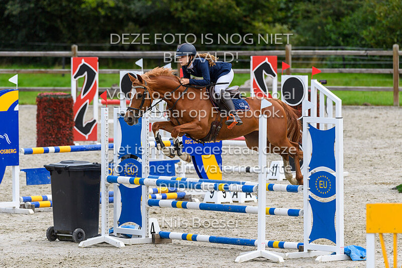 2 Ponys Klasse 90-100cm