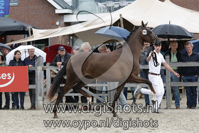 Siana VOD v. Life Time