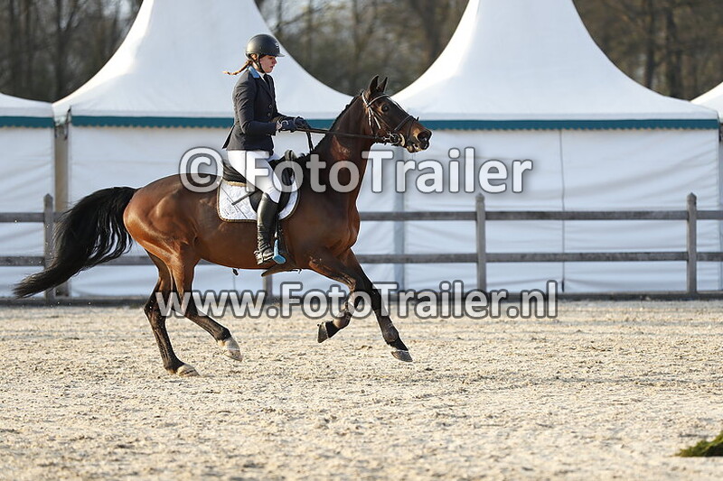 demi kattenpoel oude heerink