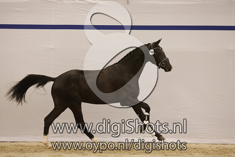 Staccato Ritme II v. Bordeaux