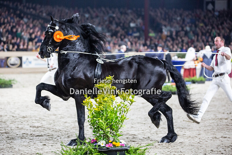 Hengstenkeuring 2020 Haitse 425