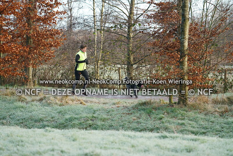 2025-01-11 Leek, Nienoord Canicross