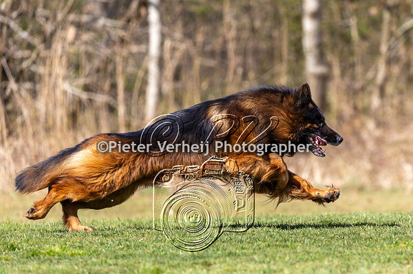 VDH-NKK-2025 Kgp de Reggestreek