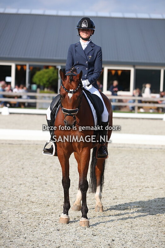 Welsh Sportdag 14-09-2024 Bestgaande rijpony