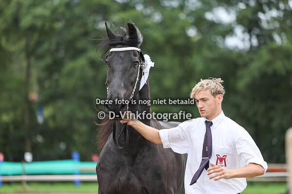 5. Premiekeuring 4 jaar e.o. veulenboekmerries