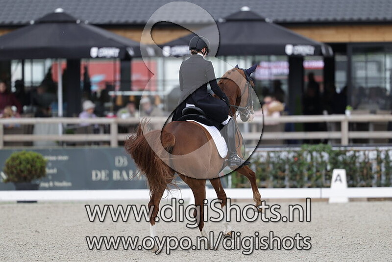 D'Accord vh Aegroschot