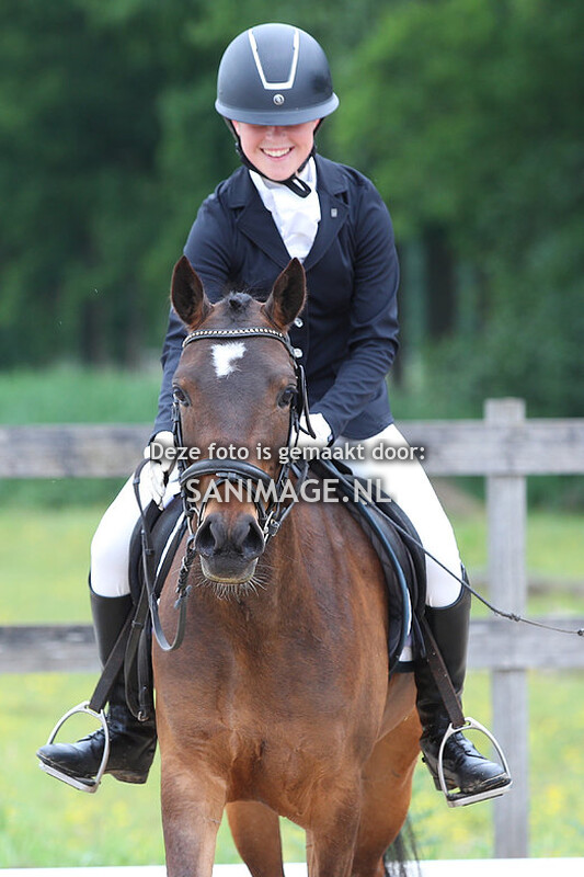 Groenewoude Dressuur 26-05-2024 14.30 uur M1/L2/B