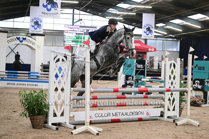 Sjoerd Vrijhoeven - Cassanova Zeldenrust Z