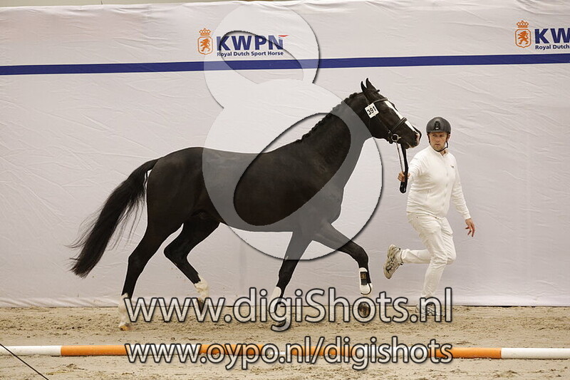 Showmaster v. Kaiman