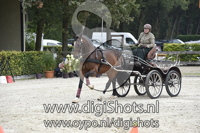 Cornelie De Geijter Pries