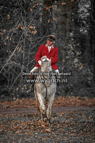 12 Hemelum 25-11-2023