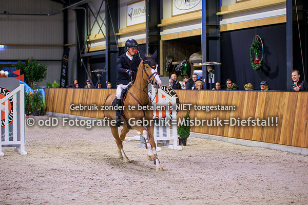 Jumping Indoor Leunen Paarden 100cm 08-01-23