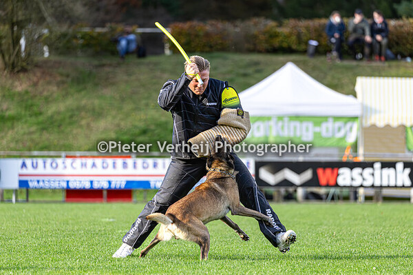 Anna Marchi with Zack vom Further moor