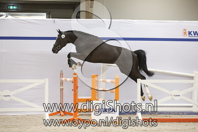 Shadow M v. Pegase van 't Ruytershof