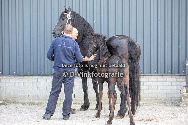 62. Sinne fan de Pellendijk