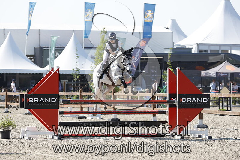 Mama Mia Picobello Z