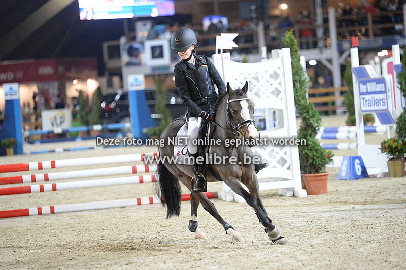 JM18 -DO- Belgische Rijpony 1