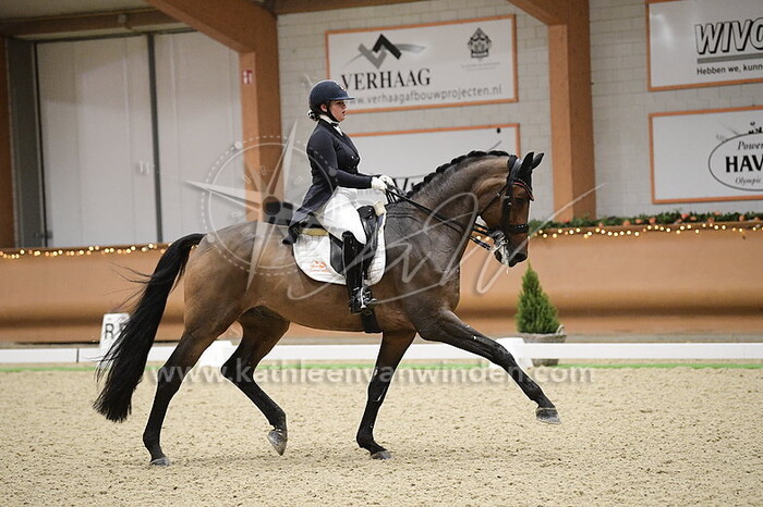 Jazmin Yom Tov - Hexagon's Grandville